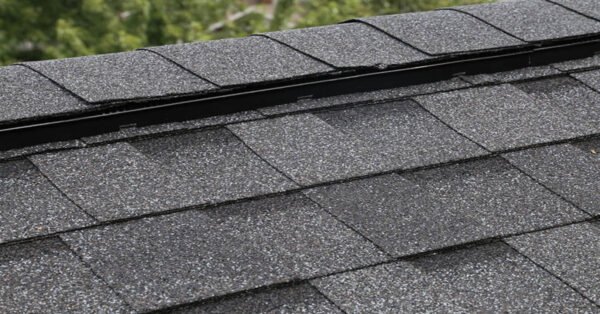 Ridge Vent - Image 2
