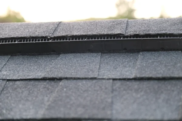 Ridge Vent - Image 3